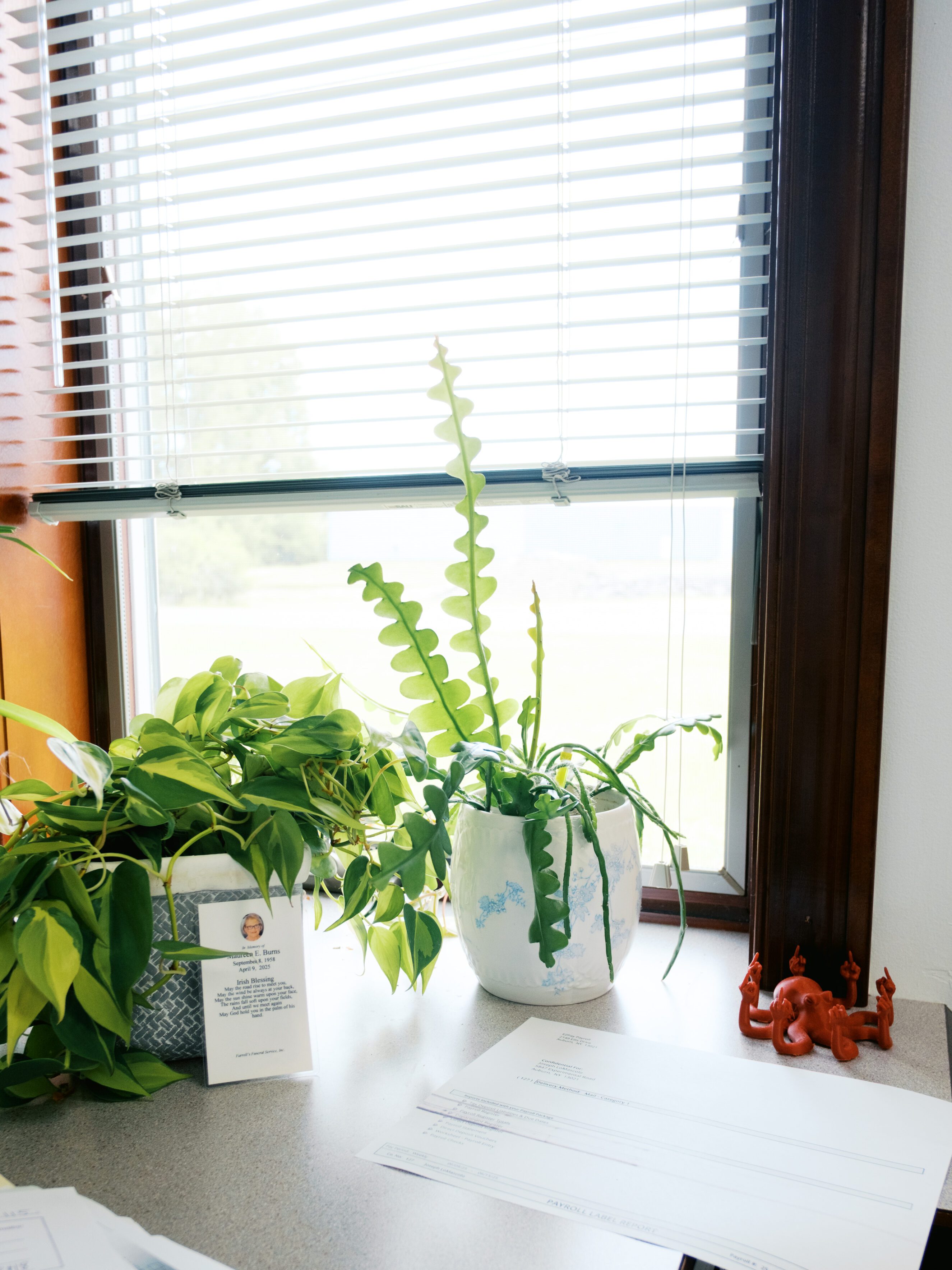 Office window with sunlight filtering through blinds, two green potted plants on the windowsill, a small red decorative figurine, and payroll documents on a countertop, representing a personalized and reliable local payroll service environment.